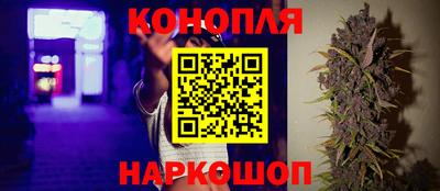 дурь Заводоуковск
