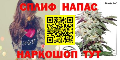 дурь Заводоуковск